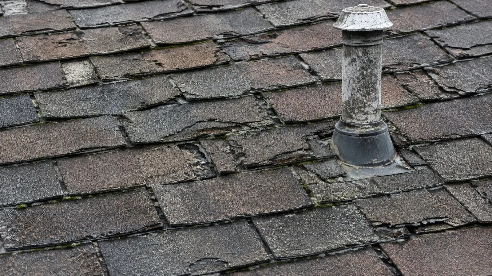 Worn asphalt shingles with cracks, curled edges and moss around a plumbing vent